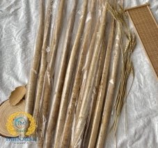Củ ngưu bàng tươi Nhật Bản