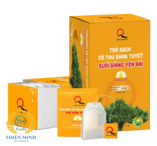 Trà sạch cổ thụ shan tuyết suối giàng Yên Bái