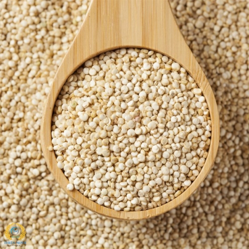 Hạt Quinoa Trắng