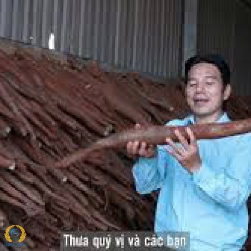 CỦ HOÀI SƠN TƯƠI HỮU CƠ BẦU MÂY  (1KG) 
