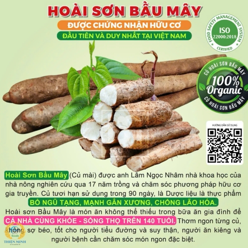 CỦ HOÀI SƠN TƯƠI HỮU CƠ BẦU MÂY  (1KG) 