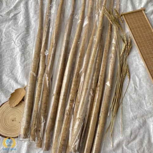 Củ ngưu bàng tươi Nhật Bản