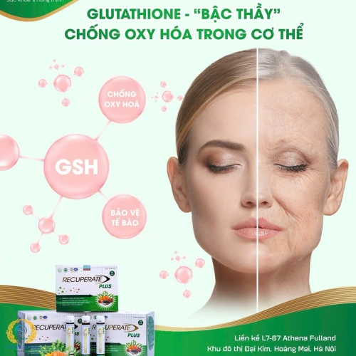 ĐẠM TƯƠI RECUPERATE PLUS CHÍNH HÃNG (FREE TOÀN QUỐC + 2 GÓI HUỆ ĐÀ GIẢI ĐỘC GAN QUY NGUYÊN)