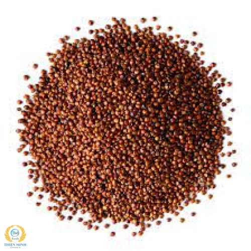 Hạt Quinoa Đỏ
