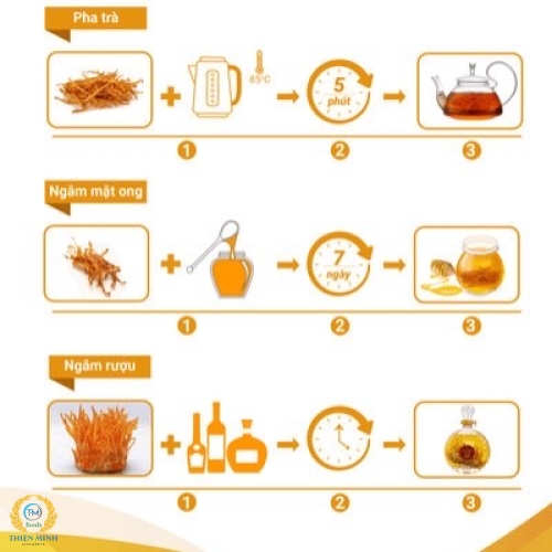 Đông Trùng Hạ Thảo Thuần Chay 3.9gr
