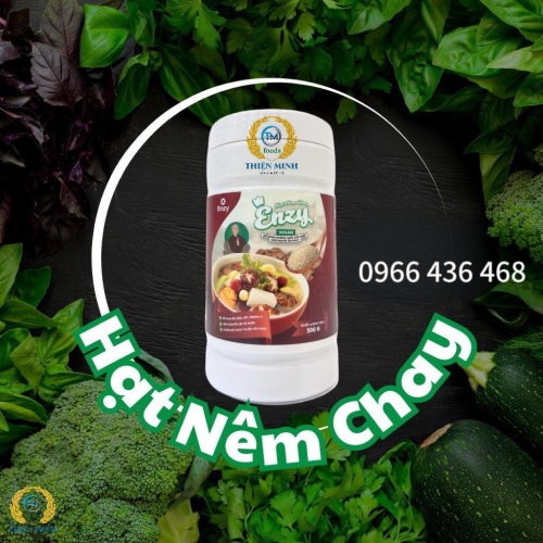 HẠT NÊM CHAY ENZY 