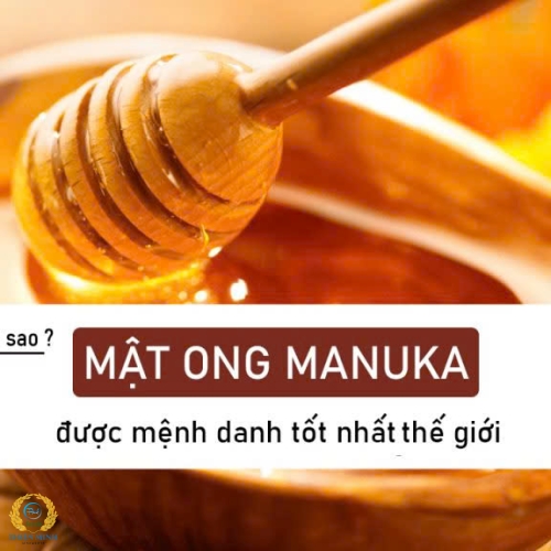 MẬT ONG MANUKA 250+( Hủ – 500gr) xứ Tasmania
